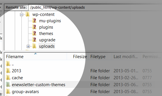 e-newsletter-custom-themes