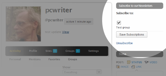 e-newsletter-subscribe-widget-front